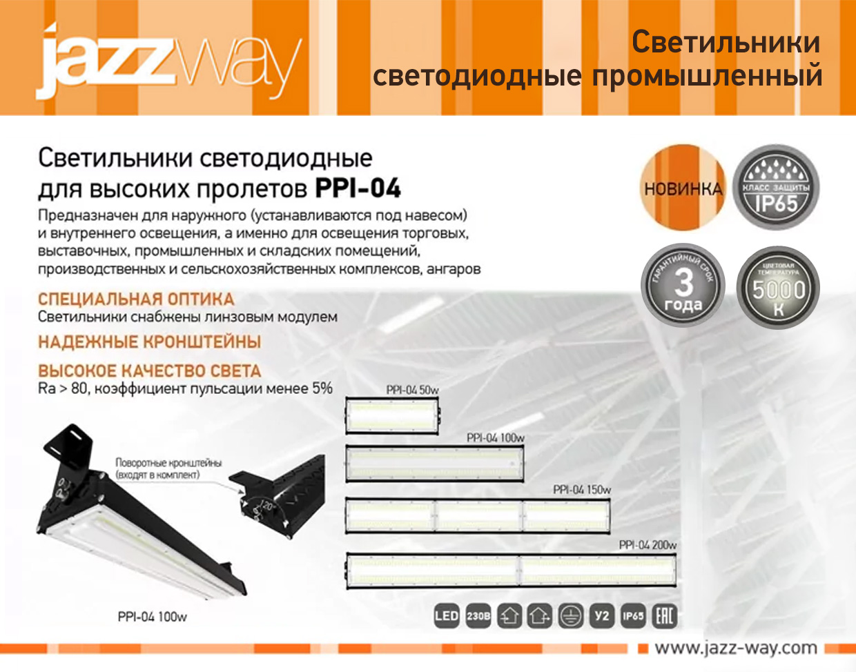 Светильник светодиодный для высоких пролетов PPI-04