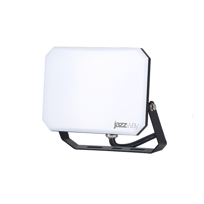 Прожектор светодиодный PFL-SA 50W OPAL