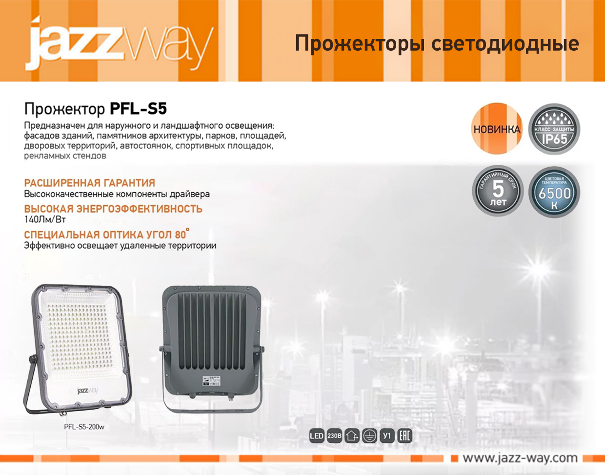 Прожектор светодиодный PFL-S5