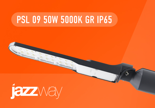 Новинка! Светодиодный светильник PSL 09 50W