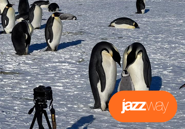 Морозостойкий прожектор JazzWay PFL-S8 — испытано холодом Антарктиды