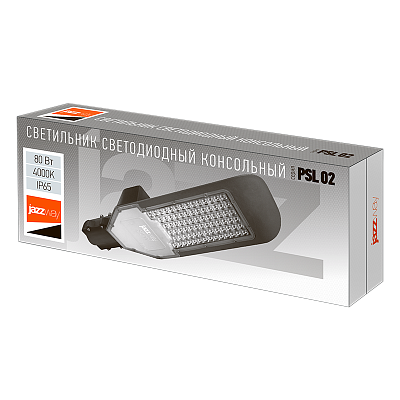 Светильник светодиодный уличный PSL 02 80w 4000K
