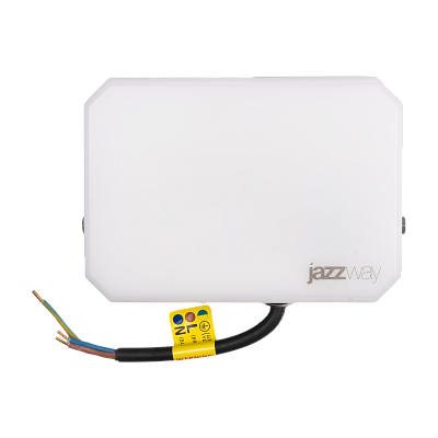 Прожектор светодиодный PFL-SA 50W OPAL