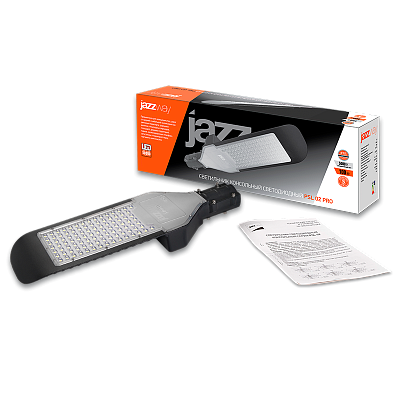 Светильник светодиодный PSL 02 PRO-5 100w