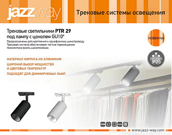 Трековый светильник PTR 29