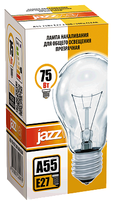 Лампа накаливания A55