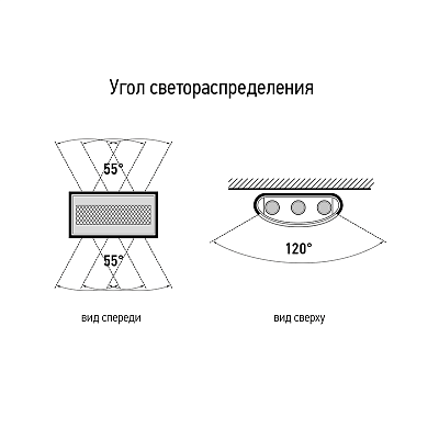 Светильник светодиодный настенный PWL-81130 4W+2W 4000K BL 230V IP54