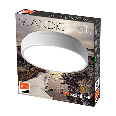 Светильник светодиодный потолочный PPB Scandic-R 24w 4000K GR IP20