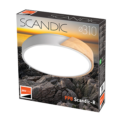 Светильник светодиодный потолочный PPB Scandic-R 24w 4000K GR/W IP20