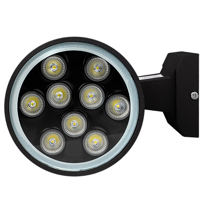Светильник светодиодный фасадный PWL-300110/30D 2x9w 6500K BL IP65