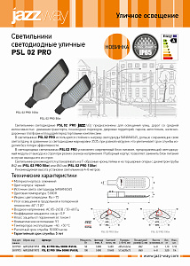 Светильники светодиодные уличные PSL 02 PRO