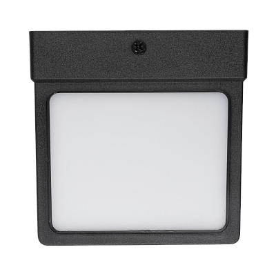 Светильник фасадный PWL 115115/01 GX53 BL 230V IP54