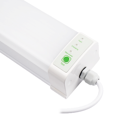 Светильник светодиодный пылевлагозащищенный PWP-C3-E1 600 18w 6500K с БАП IP65