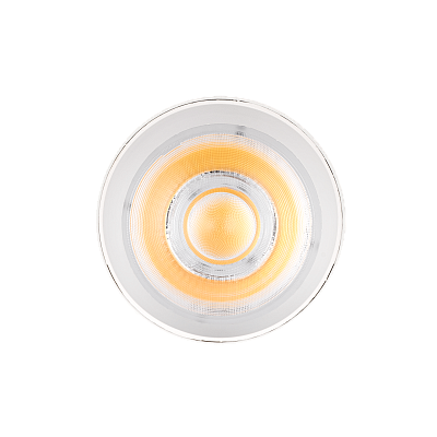 Прожектор светодиодный PTR 0724 Agro White WH