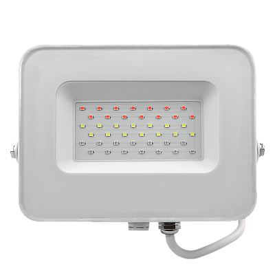 Прожектор светодиодный PFL RGB 30w WH